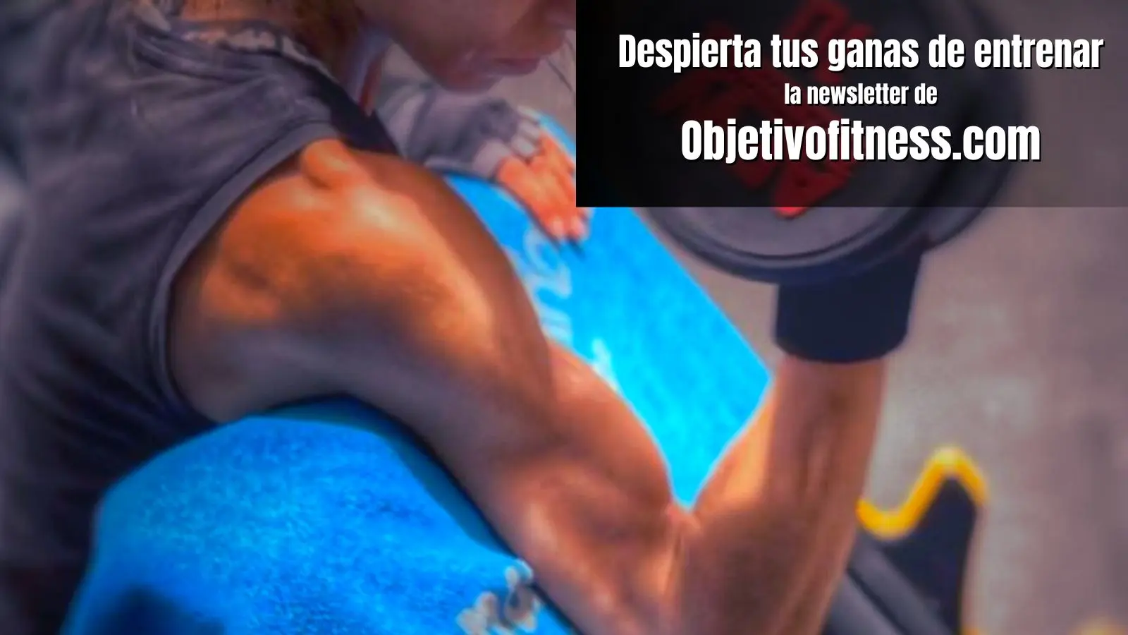 Newsletter de fitness, mentalidad y entrenamiento