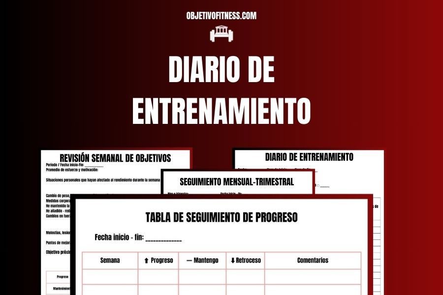 Diario para descargar en pdf + guía de uso