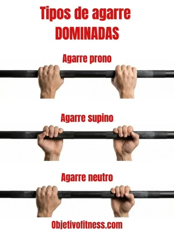 Tipos de agarre durante la dominada y músculos implicados