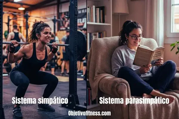 sistema-simpatico-parasimpatico-mentalidad-entrenamiento
